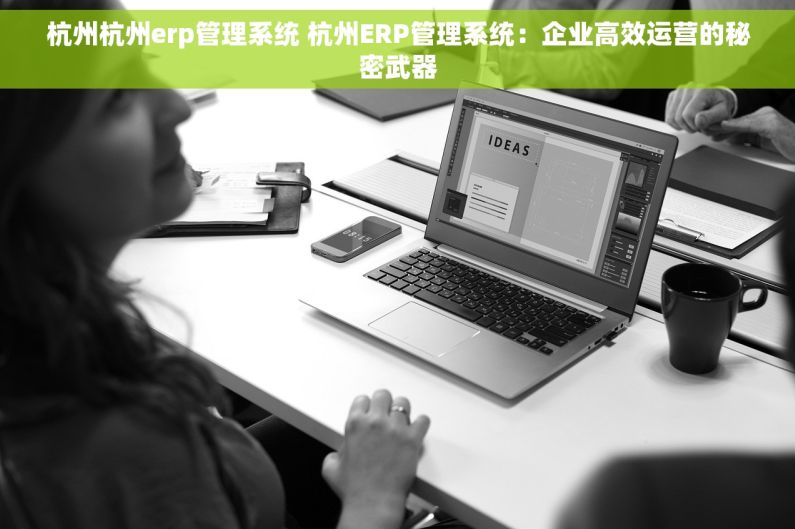 杭州杭州erp管理系统 杭州ERP管理系统：企业高效运营的秘密武器