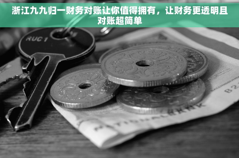 浙江九九归一财务对账让你值得拥有，让财务更透明且对账超简单