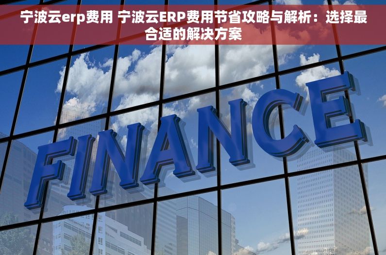 宁波云erp费用 宁波云ERP费用节省攻略与解析：选择最合适的解决方案