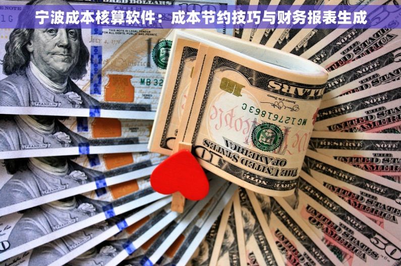 宁波成本核算软件：成本节约技巧与财务报表生成