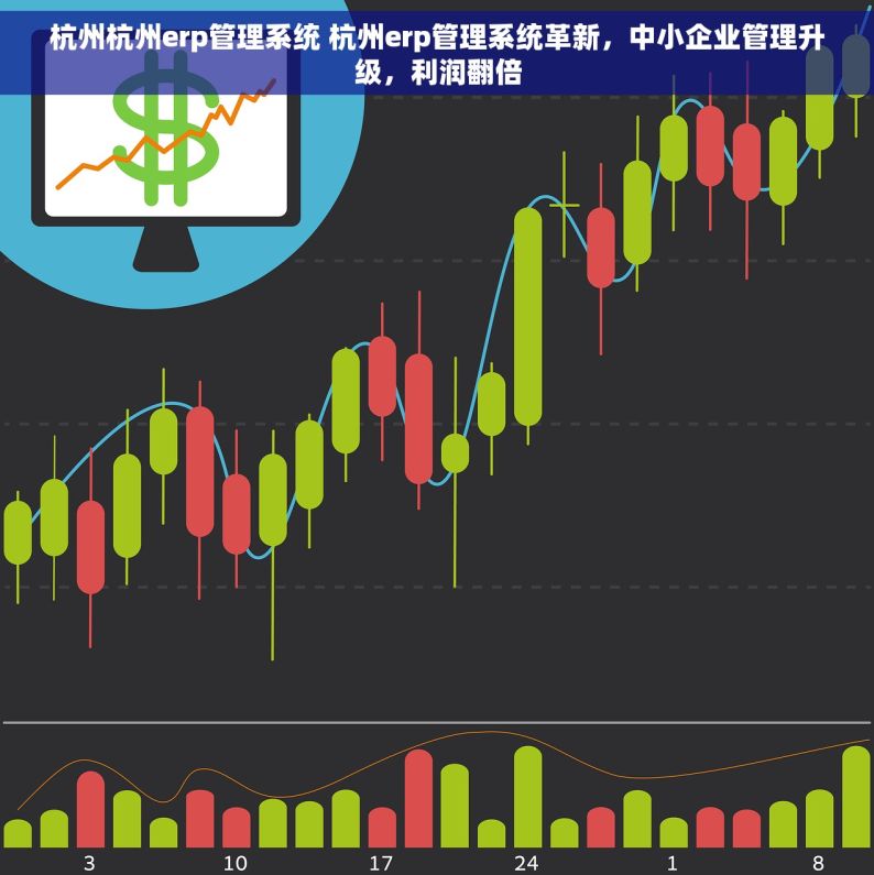 杭州杭州erp管理系统 杭州erp管理系统革新，中小企业管理升级，利润翻倍