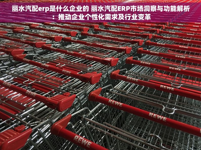 丽水汽配erp是什么企业的 丽水汽配ERP市场洞察与功能解析：推动企业个性化需求及行业变革