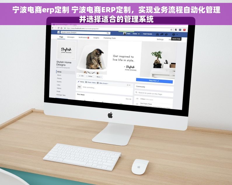 宁波电商erp定制 宁波电商ERP定制，实现业务流程自动化管理并选择适合的管理系统