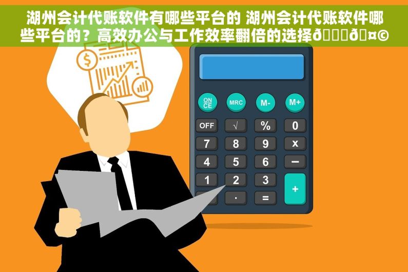 湖州会计代账软件有哪些平台的 湖州会计代账软件哪些平台的？高效办公与工作效率翻倍的选择🚀🤩