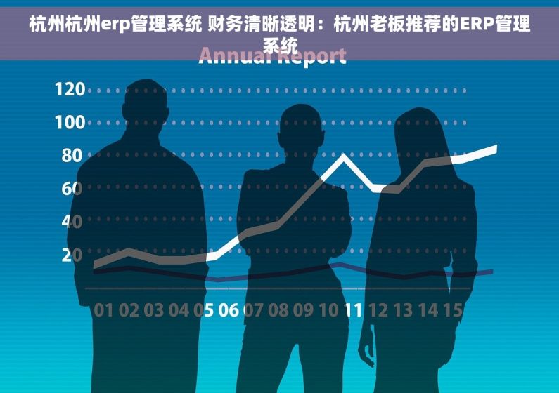 杭州杭州erp管理系统 财务清晰透明：杭州老板推荐的ERP管理系统