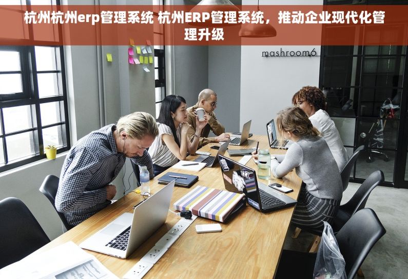 杭州杭州erp管理系统 杭州ERP管理系统，推动企业现代化管理升级