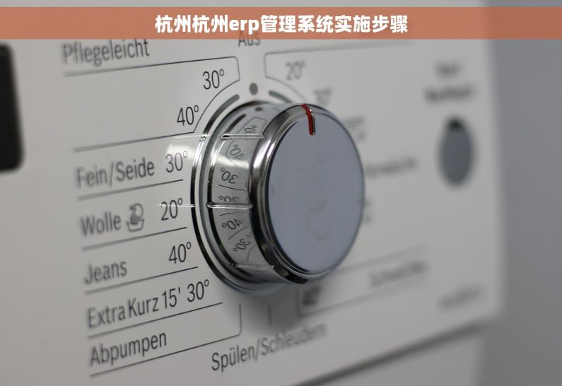 杭州杭州erp管理系统实施步骤