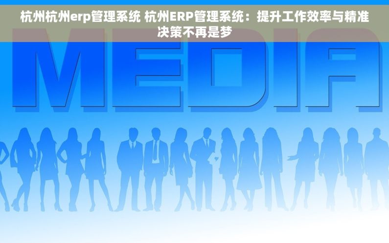 杭州杭州erp管理系统 杭州ERP管理系统：提升工作效率与精准决策不再是梦
