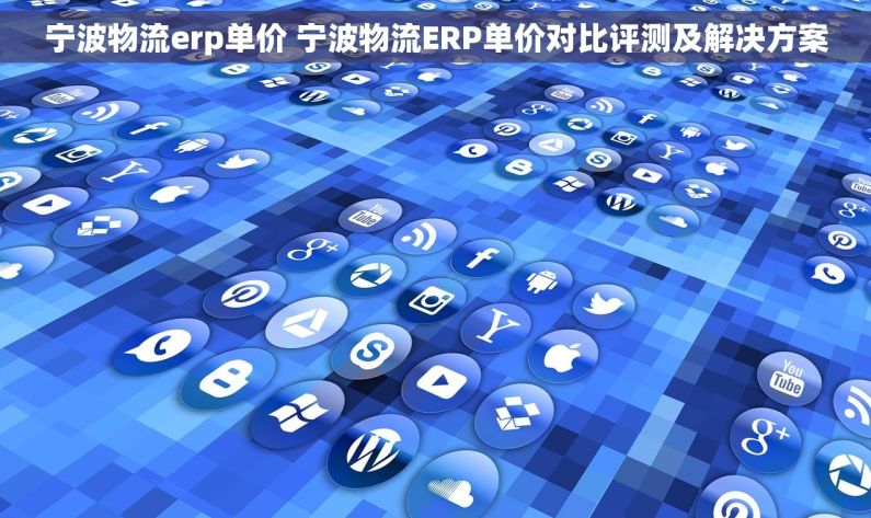 宁波物流erp单价 宁波物流ERP单价对比评测及解决方案
