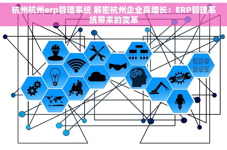 杭州杭州erp管理系统 解密杭州企业高增长：ERP管理系统带来的变革