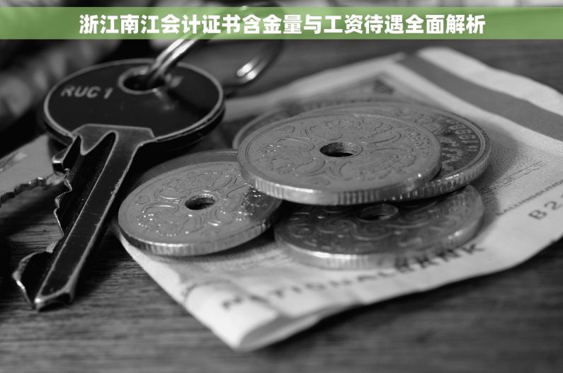浙江南江会计证书含金量与工资待遇全面解析