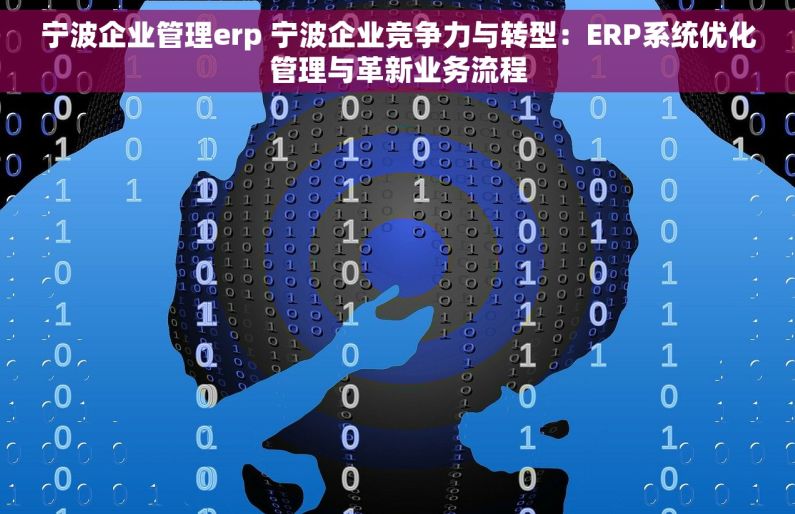 宁波企业管理erp 宁波企业竞争力与转型：ERP系统优化管理与革新业务流程