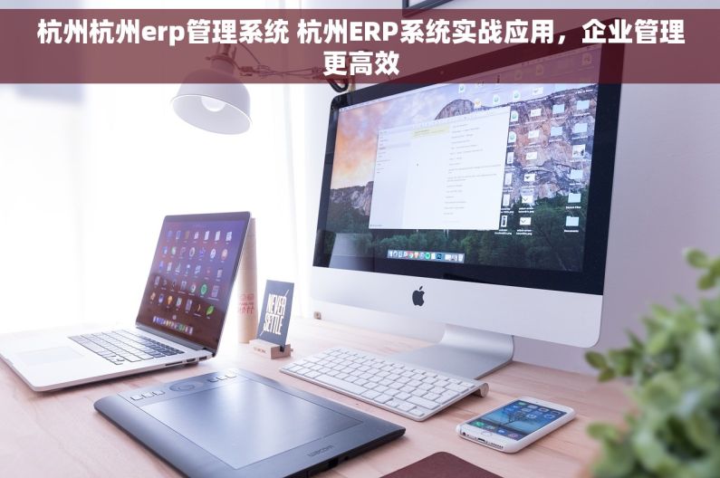 杭州杭州erp管理系统 杭州ERP系统实战应用，企业管理更高效