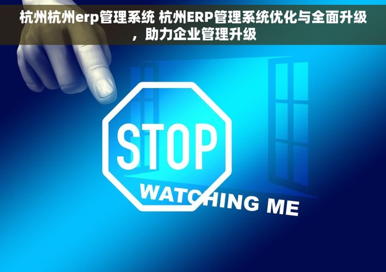 杭州杭州erp管理系统 杭州ERP管理系统优化与全面升级，助力企业管理升级