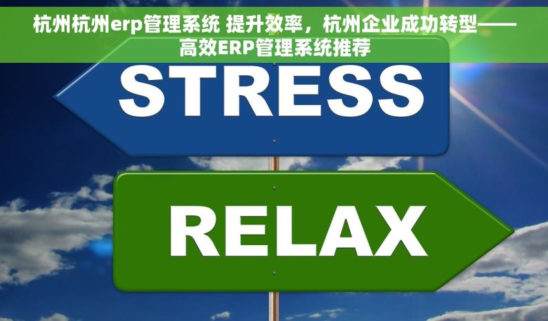 杭州杭州erp管理系统 提升效率，杭州企业成功转型——高效ERP管理系统推荐