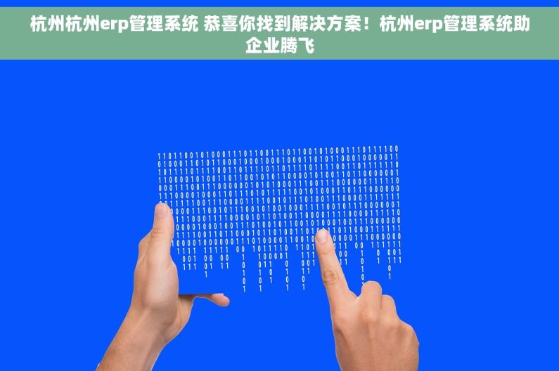 杭州杭州erp管理系统 恭喜你找到解决方案！杭州erp管理系统助企业腾飞