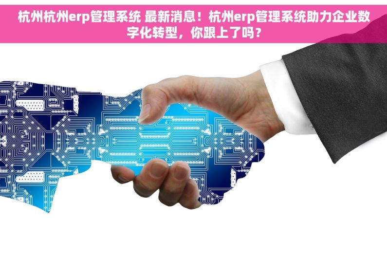 杭州杭州erp管理系统 最新消息！杭州erp管理系统助力企业数字化转型，你跟上了吗？