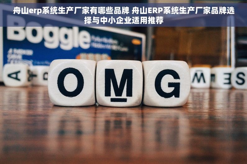 舟山erp系统生产厂家有哪些品牌 舟山ERP系统生产厂家品牌选择与中小企业适用推荐