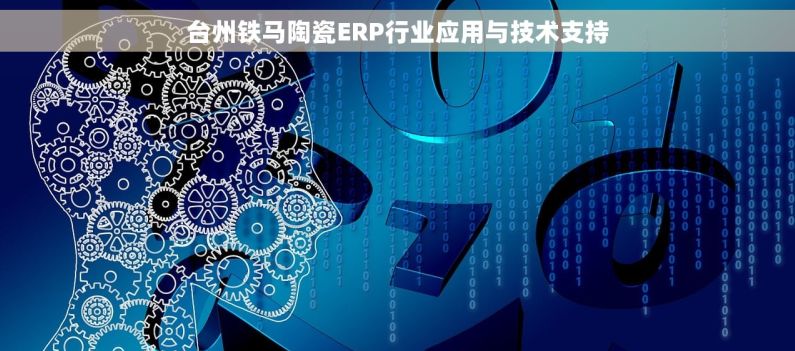 台州铁马陶瓷ERP行业应用与技术支持