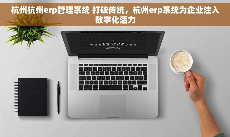 杭州杭州erp管理系统 打破传统，杭州erp系统为企业注入数字化活力
