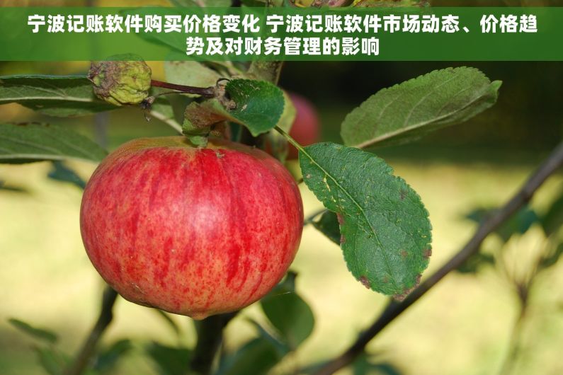 宁波记账软件购买价格变化 宁波记账软件市场动态、价格趋势及对财务管理的影响
