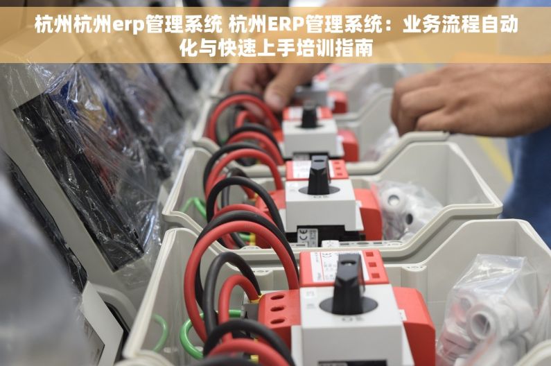 杭州杭州erp管理系统 杭州ERP管理系统：业务流程自动化与快速上手培训指南