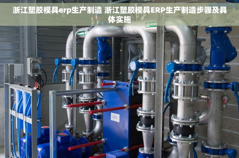 浙江塑胶模具erp生产制造 浙江塑胶模具ERP生产制造步骤及具体实施
