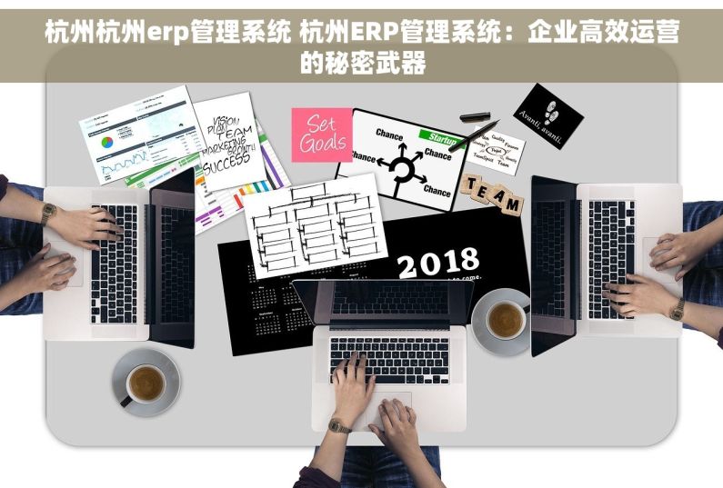 杭州杭州erp管理系统 杭州ERP管理系统：企业高效运营的秘密武器