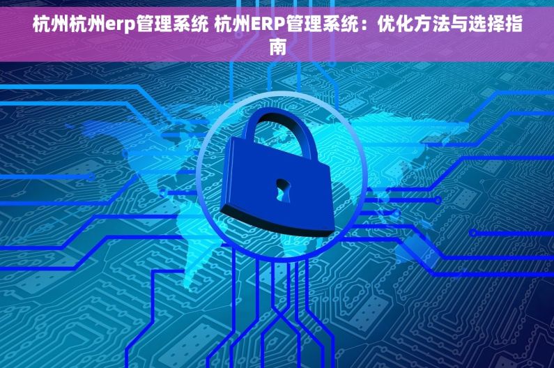 杭州杭州erp管理系统 杭州ERP管理系统：优化方法与选择指南