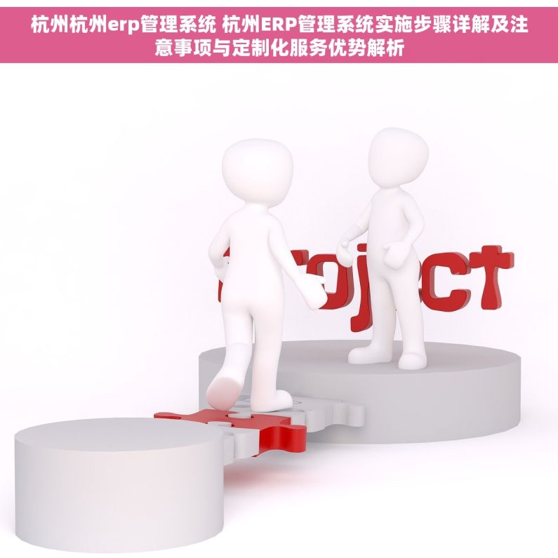 杭州杭州erp管理系统 杭州ERP管理系统实施步骤详解及注意事项与定制化服务优势解析