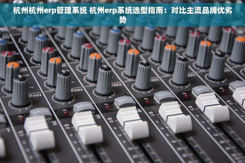 杭州杭州erp管理系统 杭州erp系统选型指南：对比主流品牌优劣势