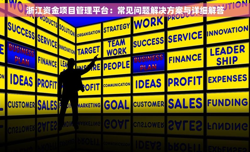 浙江资金项目管理平台：常见问题解决方案与详细解答