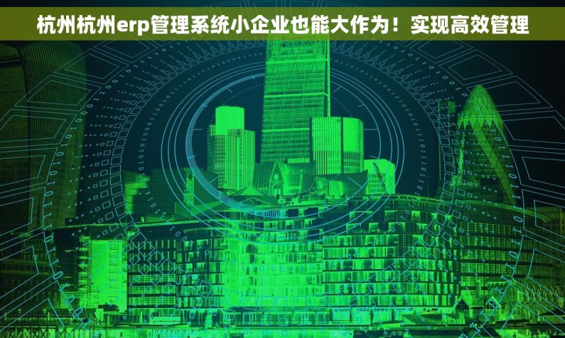 杭州杭州erp管理系统小企业也能大作为！实现高效管理