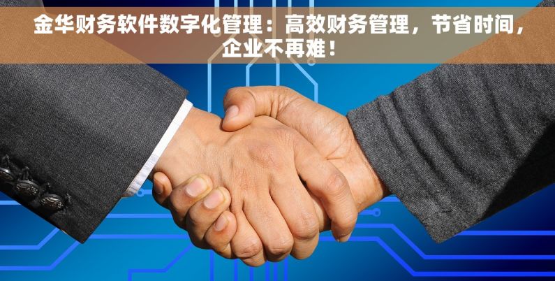金华财务软件数字化管理：高效财务管理，节省时间，企业不再难！
