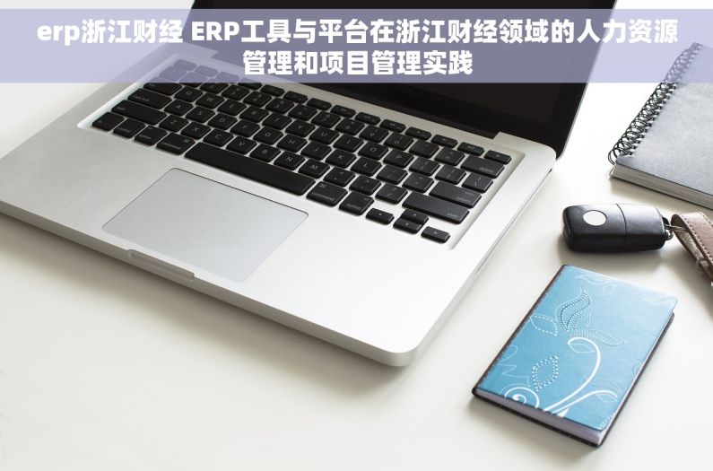 erp浙江财经 ERP工具与平台在浙江财经领域的人力资源管理和项目管理实践