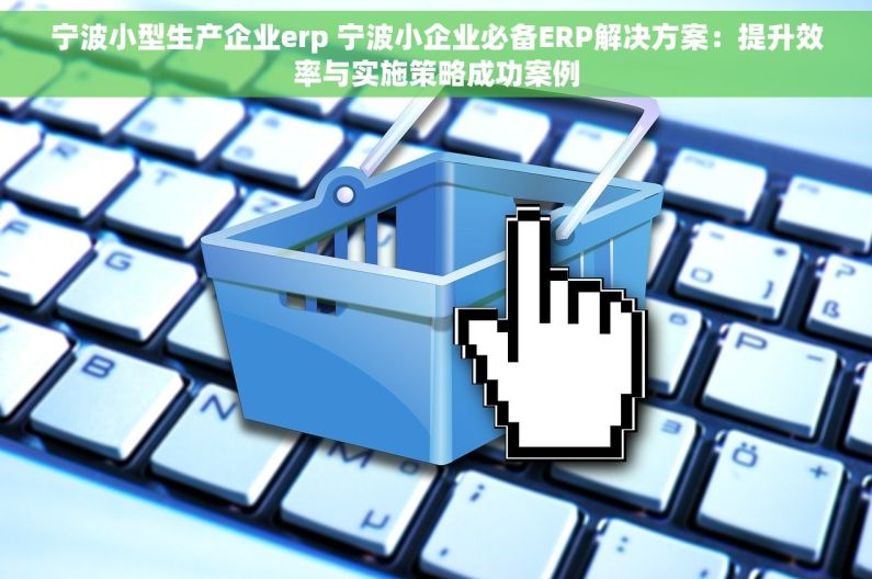 宁波小型生产企业erp 宁波小企业必备ERP解决方案：提升效率与实施策略成功案例