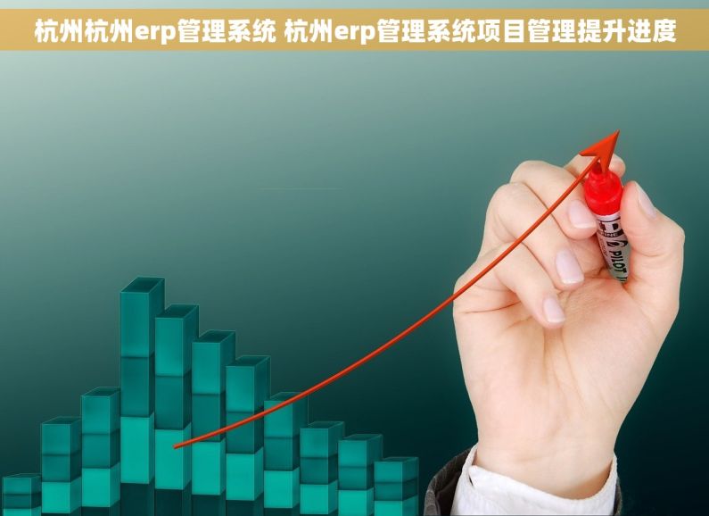 杭州杭州erp管理系统 杭州erp管理系统项目管理提升进度