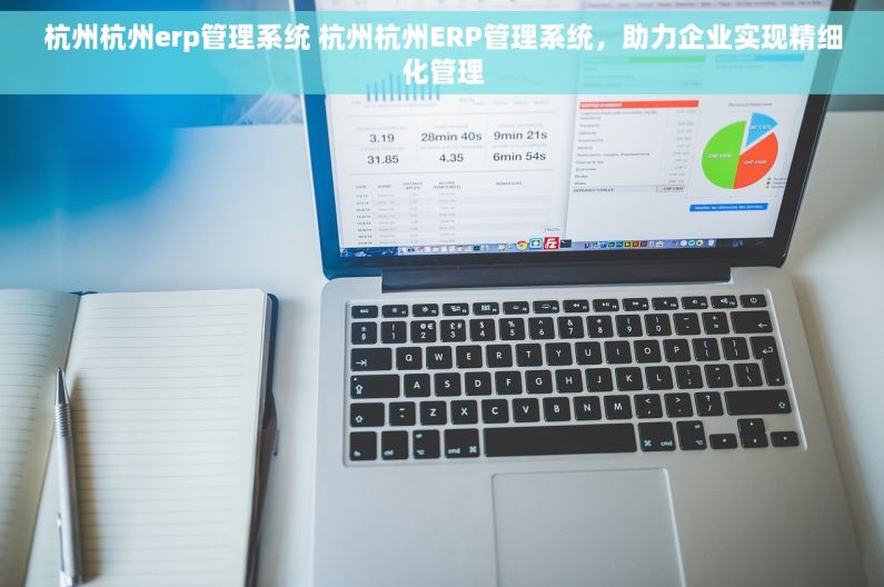 杭州杭州erp管理系统 杭州杭州ERP管理系统，助力企业实现精细化管理