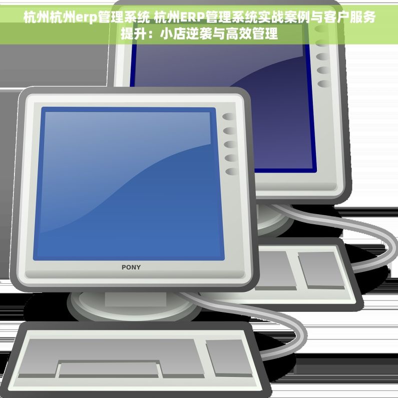 杭州杭州erp管理系统 杭州ERP管理系统实战案例与客户服务提升：小店逆袭与高效管理