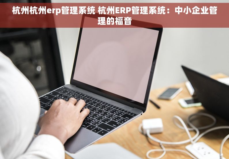 杭州杭州erp管理系统 杭州ERP管理系统：中小企业管理的福音