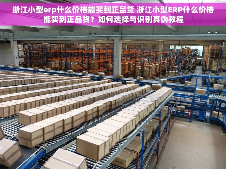 浙江小型erp什么价格能买到正品货 浙江小型ERP什么价格能买到正品货？如何选择与识别真伪教程