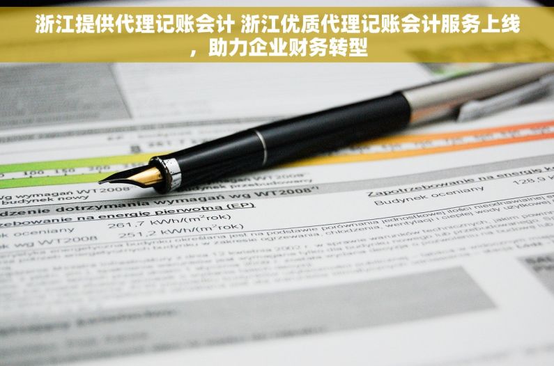浙江提供代理记账会计 浙江优质代理记账会计服务上线，助力企业财务转型