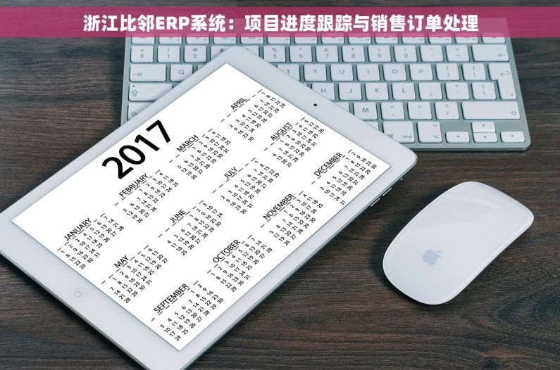浙江比邻ERP系统：项目进度跟踪与销售订单处理