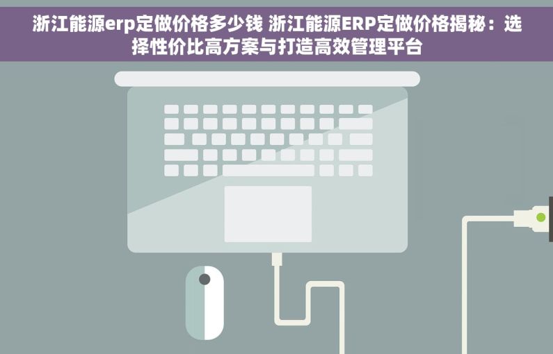 浙江能源erp定做价格多少钱 浙江能源ERP定做价格揭秘：选择性价比高方案与打造高效管理平台