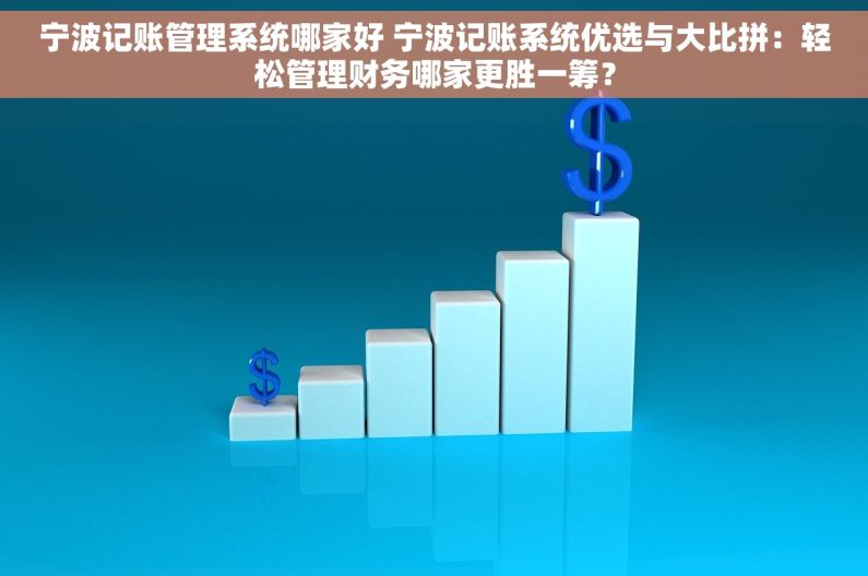 宁波记账管理系统哪家好 宁波记账系统优选与大比拼：轻松管理财务哪家更胜一筹？