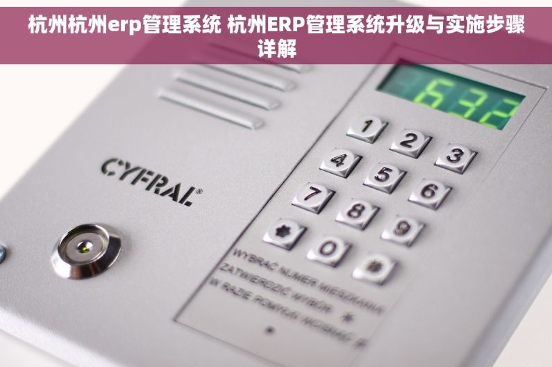 杭州杭州erp管理系统 杭州ERP管理系统升级与实施步骤详解