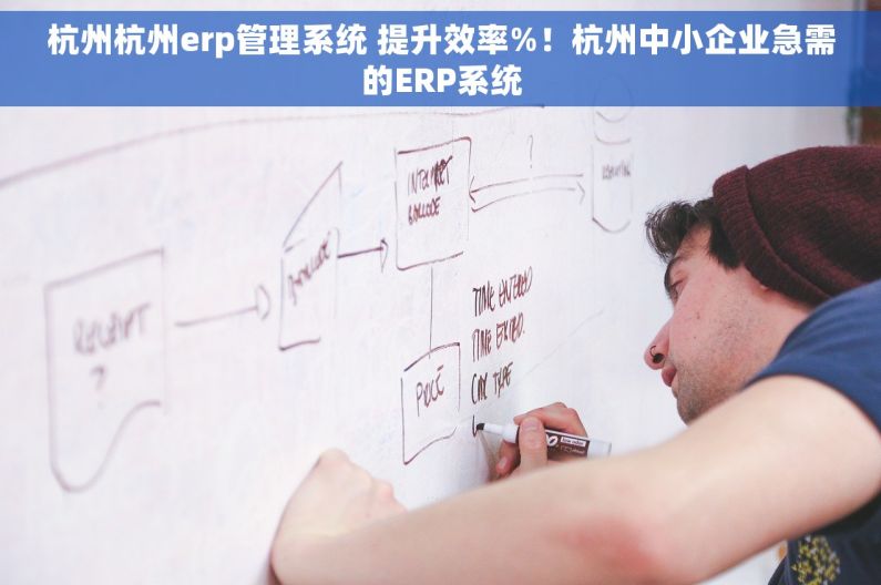 杭州杭州erp管理系统 提升效率%！杭州中小企业急需的ERP系统