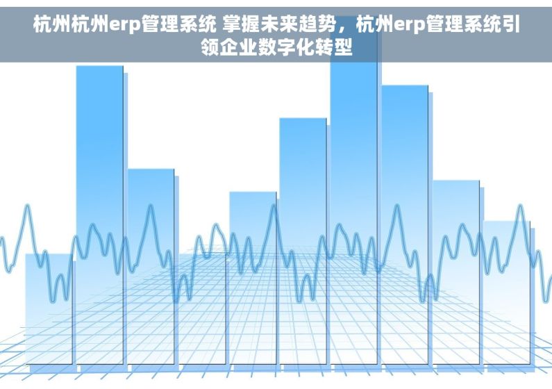 杭州杭州erp管理系统 掌握未来趋势，杭州erp管理系统引领企业数字化转型