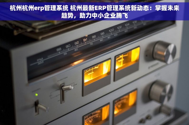 杭州杭州erp管理系统 杭州最新ERP管理系统新动态：掌握未来趋势，助力中小企业腾飞