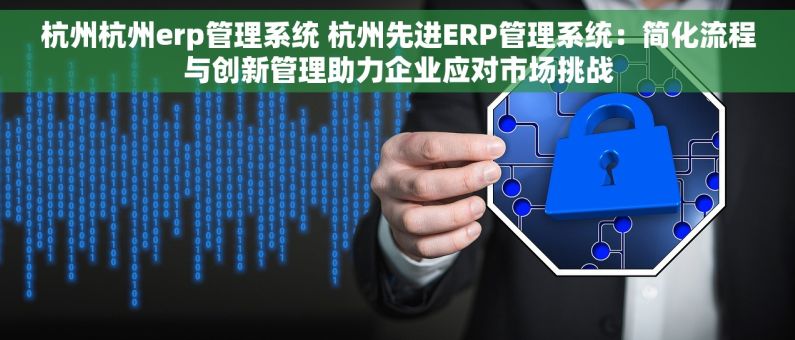 杭州杭州erp管理系统 杭州先进ERP管理系统：简化流程与创新管理助力企业应对市场挑战